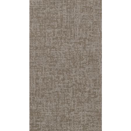 Shaw Floors Nfa Star Gaze Stucco