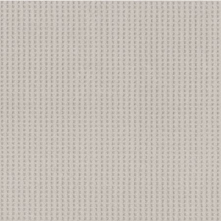 Shaw Floors Nfa Linvale Baltic Stone