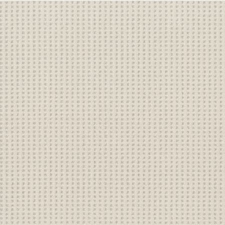 Shaw Floors Nfa Linvale Delicate Cream