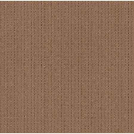 Shaw Floors Nfa Linvale Sunbaked