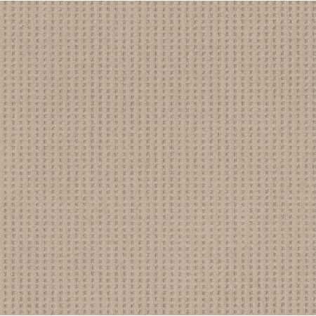 Shaw Floors Nfa Linvale Natural Beauty