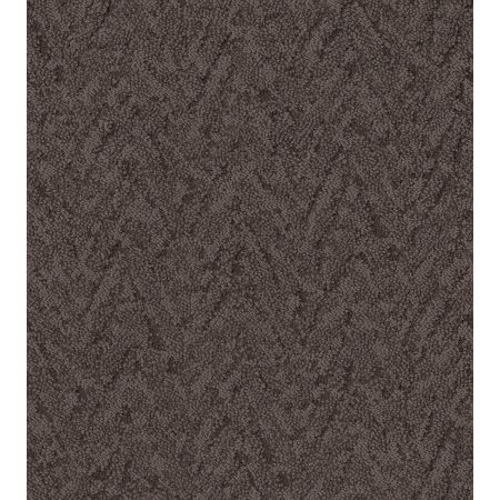 Shaw Floors Nfa Hopeful Burma Brown