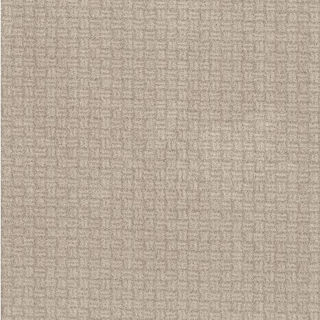 Shaw Floors Nfa Natural Affection Desert View