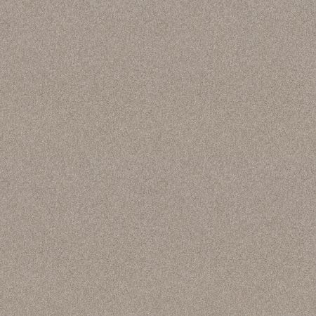 Shaw Floors Nfa Memorable I Fossil Path