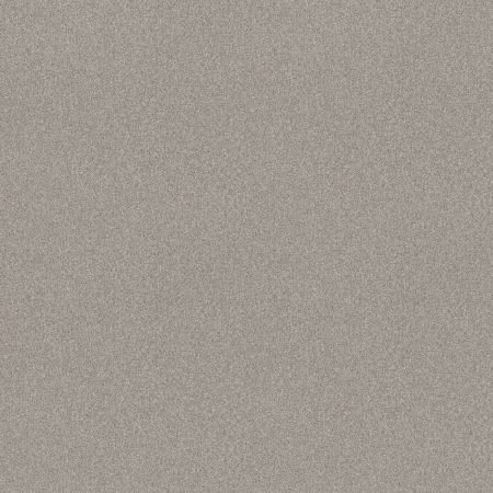 Shaw Floors Nfa Memorable I Baltic Stone