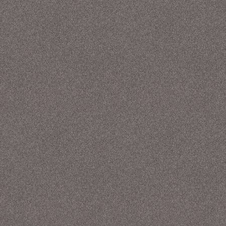 Shaw Floors Nfa Memorable I Deep Connection