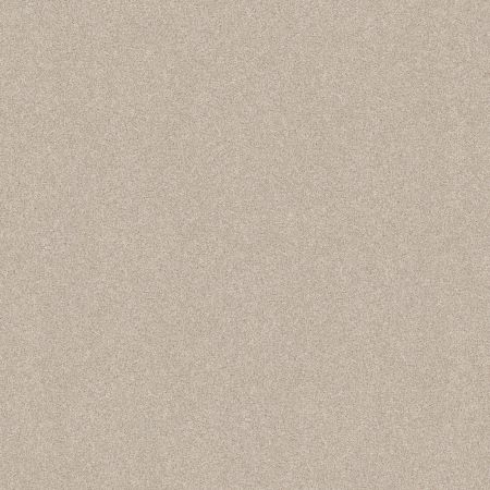 Shaw Floors Nfa Memorable III Champagne Toast