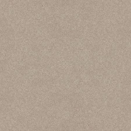 Shaw Floors Nfa Memorable III Sandstone