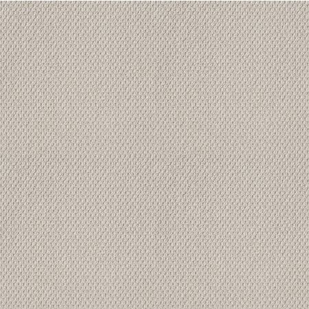 Shaw Floors Nfa Natural Choice Winters Dawn