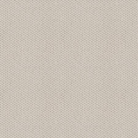 Shaw Floors Nfa Natural Choice Gallery Opening