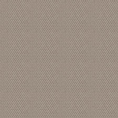 Shaw Floors Nfa Natural Choice Baltic Stone