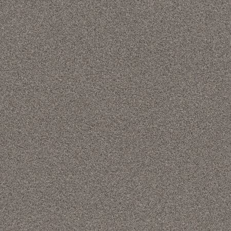 Shaw Floors Nfa Cavallini Fossil Path