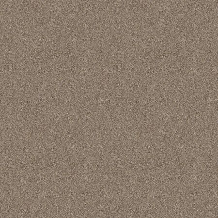 Shaw Floors Nfa Cavallini Raw Wood