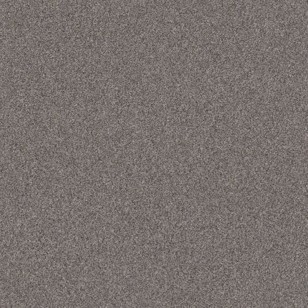 Shaw Floors Nfa Cavallini River Run