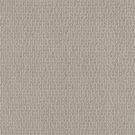 Shaw Floors Nfa Cunning Choice Sandstone