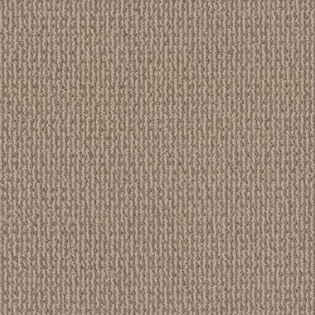 Shaw Floors Nfa Cunning Choice Beige Bisque