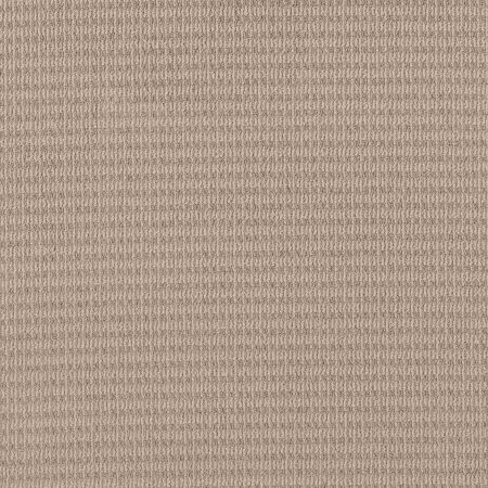 Shaw Floors Nfa Keen Charm Sun Kissed