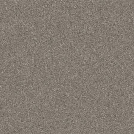 Shaw Floors Nfa Provisional II Abalone