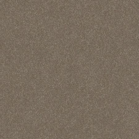 Shaw Floors Nfa Provisional II Sandbank