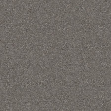 Shaw Floors Nfa Provisional II Tundra