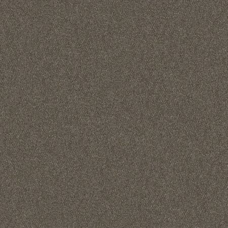 Shaw Floors Nfa Provisional II Boardwalk