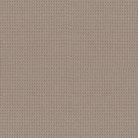 Shaw Floors Nfa Artful Array Pebble Path