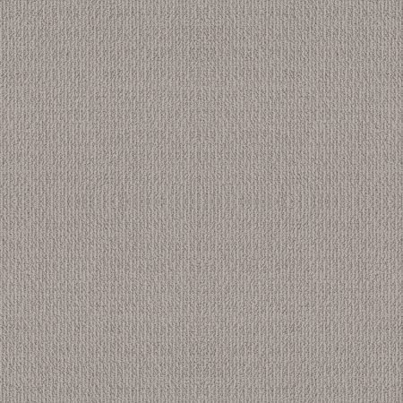 Shaw Floors Nfa Look This Way Ashen