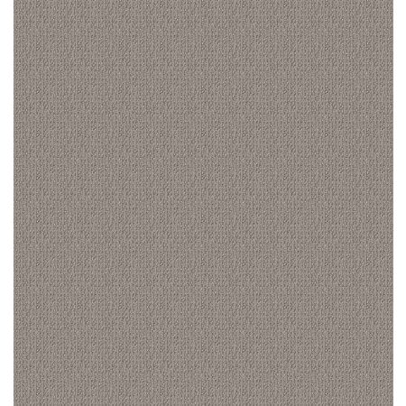 Shaw Floors Nfa Look This Way Asteroid