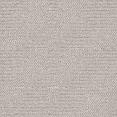 Shaw Floors Nfa Captious Minimal