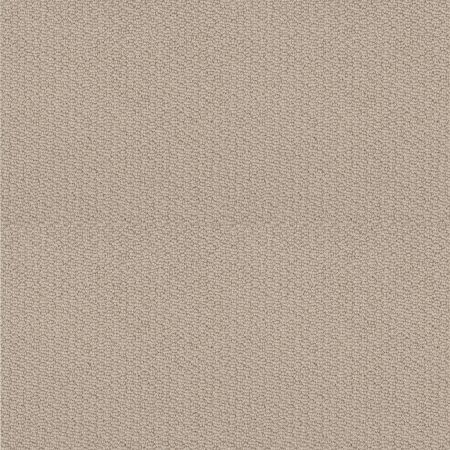 Shaw Floors Nfa Captious Natural Wood