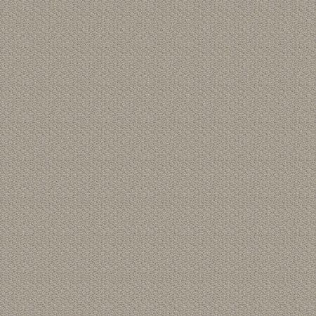 Shaw Floors Nfa Captious Sandstone