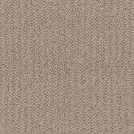 Shaw Floors Nfa Captious Pebble Path