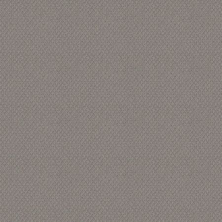 Shaw Floors Nfa Captious Cozy Throw