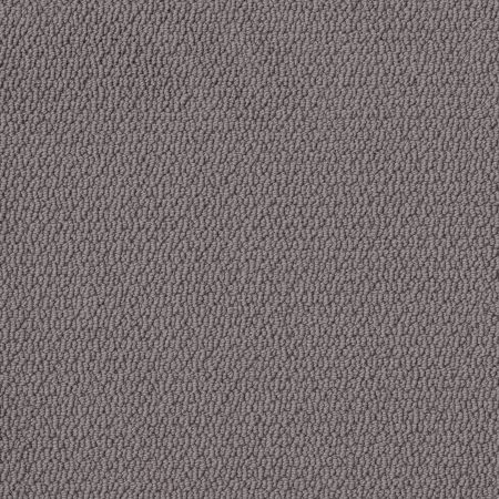 Shaw Floors Nfa Captious Pewter