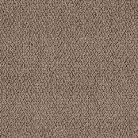 Shaw Floors Nfa Captious Worn Leather