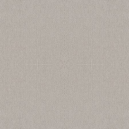 Shaw Floors Nfa Devious Look Aircraft