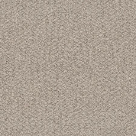 Shaw Floors Nfa Devious Look Birch