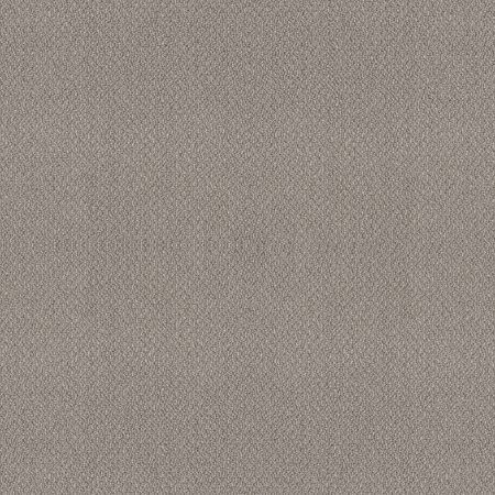 Shaw Floors Nfa Devious Look Asteroid