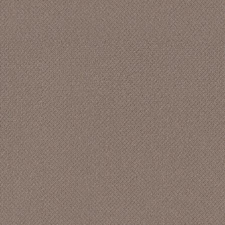 Shaw Floors Nfa Devious Look Chestnut