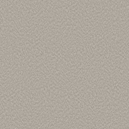 Shaw Floors Nfa Showy Split Sediment