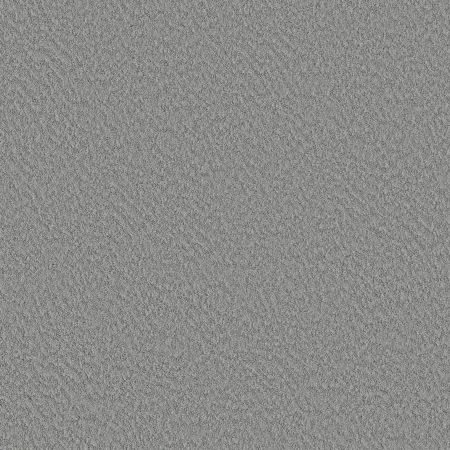 Shaw Floors Nfa Showy Sentimental