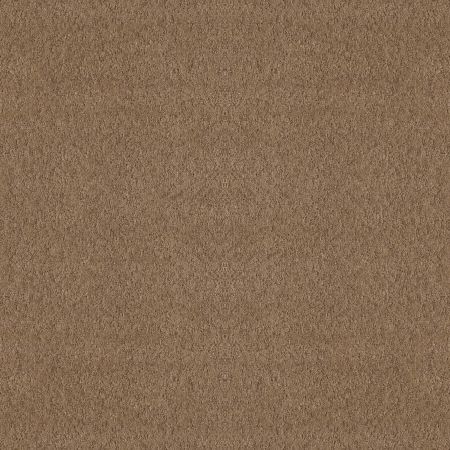 Shaw Floors Nfa Showy Raw Wood