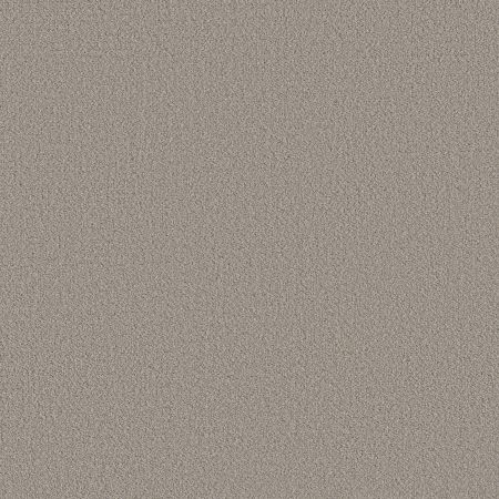 Shaw Floors Nfa Rare Find Fossil Path