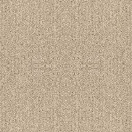 Shaw Floors Nfa Rare Find Sun Kissed