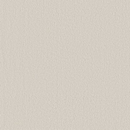 Shaw Floors Nfa Rare Find Champagne Toast