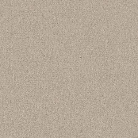 Shaw Floors Nfa Rare Find Sandstone