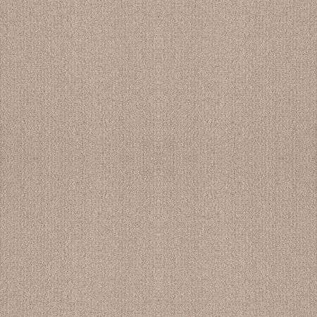 Shaw Floors Nfa Rare Find Heirloom