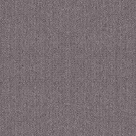 Shaw Floors Nfa Rare Find Deep Connection