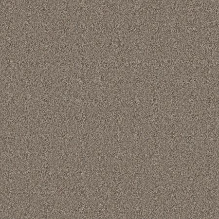 Shaw Floors Nfa Artsy I Sea Shell