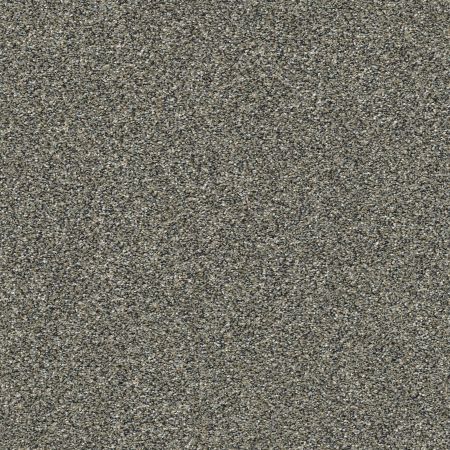 Shaw Floors Nfa Artsy I Shadow